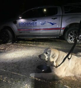 Maggie back safe and sound. Photograph: LMRT. NO F33 Maggie the dog 