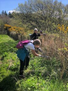 Volunteers tidy up a section of the Kintyre Way near Tayinloan. 